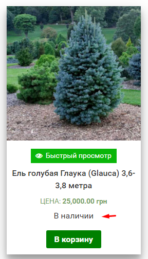 немає